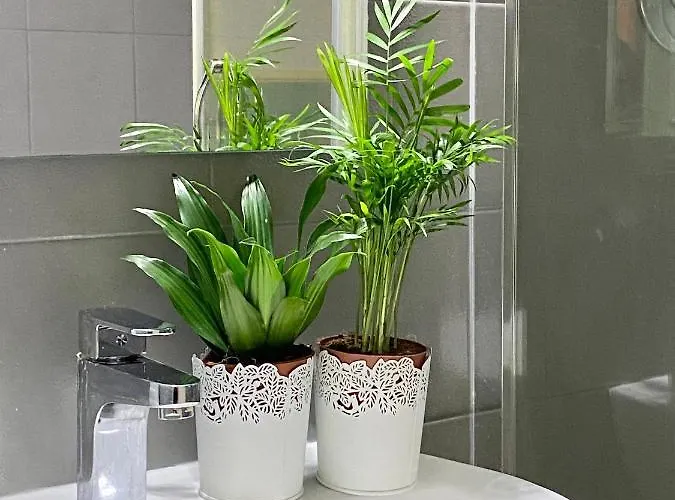 Pantheon Ancient Appartement